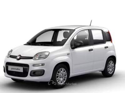 Fiat Pandina 1.0 FireFly 65cv S&S 6m Hybrid Icon Bianco usata Seregno