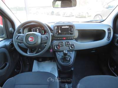 Fiat Pandina 1.0 FireFly 65cv S&S 6m Hybrid Icon Bianco usata Seregno