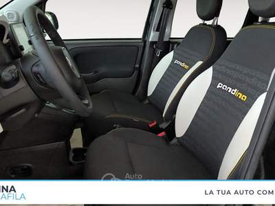 Fiat Panda  - pandina iii 2024  pandina 1.0 firefly hybrid s&s 70c Nero usata Marcianise