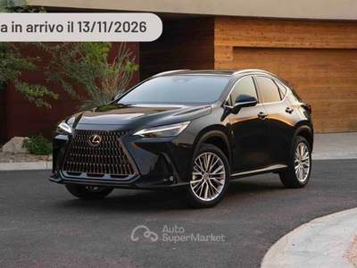 Lexus NX 309cv Argento usata Pieve di Cento