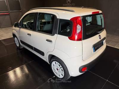 Fiat Panda 1.3 MJT S&S Easy Beige usata Bastia Umbra