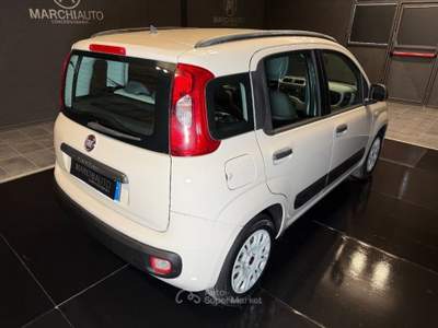 Fiat Panda 1.3 MJT S&S Easy Beige usata Bastia Umbra