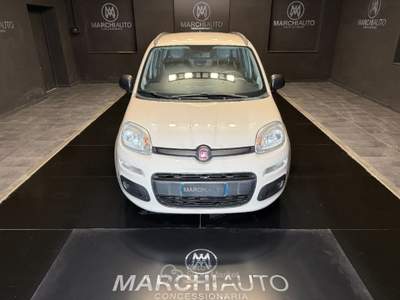 Fiat Panda 1.3 MJT S&S Easy Beige usata Bastia Umbra