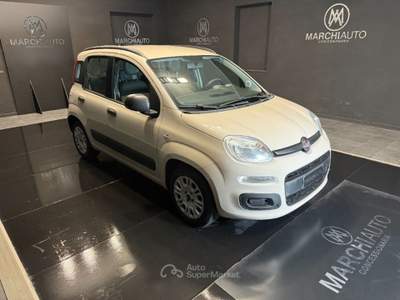 Fiat Panda 1.3 MJT S&S Easy Beige usata Bastia Umbra