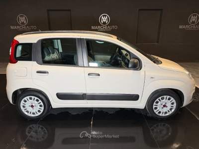 Fiat Panda 1.3 MJT S&S Easy Beige usata Bastia Umbra
