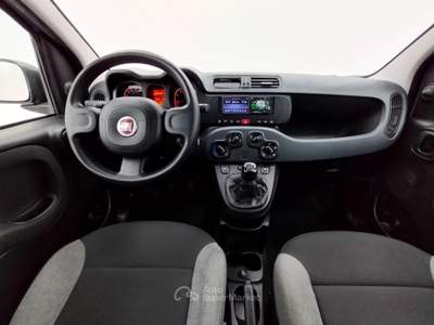 Fiat Panda 1.0 FireFly S&S Hybrid Grigio usata Lurate Caccivio