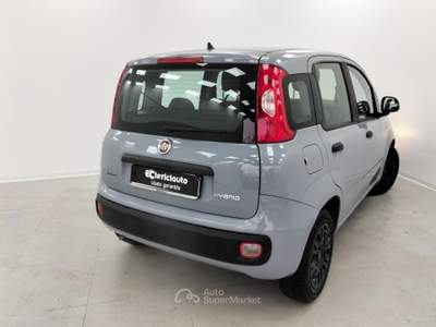 Fiat Panda 1.0 FireFly S&S Hybrid Grigio usata Lurate Caccivio