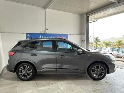 Ford Kuga 2.0 EcoBlue Hybrid 150 CV 2WD ST-Line Grigio usata ADRANO