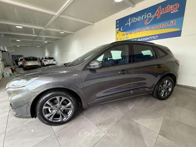 Ford Kuga 2.0 EcoBlue Hybrid 150 CV 2WD ST-Line Grigio usata ADRANO