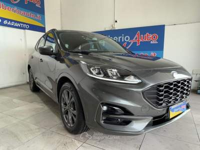 Ford Kuga 2.0 EcoBlue Hybrid 150 CV 2WD ST-Line Grigio usata ADRANO