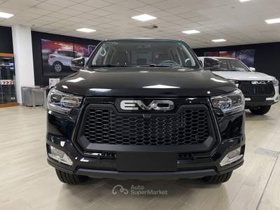 Evo Cross 4 2.0 Turbo Diesel Doppia Cabina usata Torino