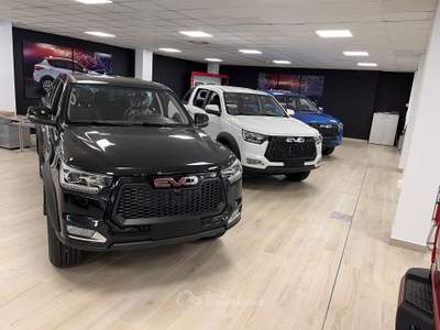 Evo Cross 4 2.0 Turbo Diesel Doppia Cabina usata Torino