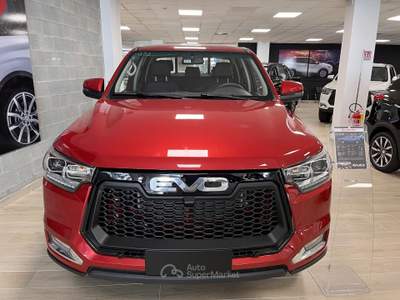 Evo Cross 4 2.0 Turbo Diesel Doppia Cabina usata Torino