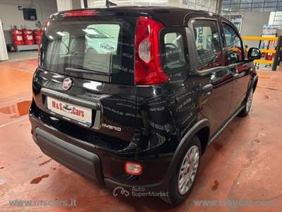 Fiat Panda Panda 1.0 FireFly S&S Hybrid Nero usata Rivoli