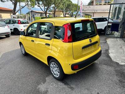Fiat Panda Panda 1.0 FireFly S&S Hybrid usata ISEO