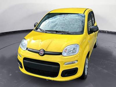 Fiat Panda Panda 1.0 FireFly S&S Hybrid usata ISEO