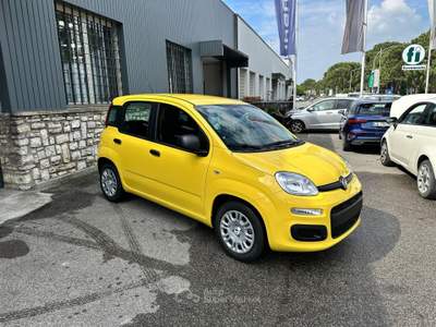 Fiat Panda Panda 1.0 FireFly S&S Hybrid usata ISEO