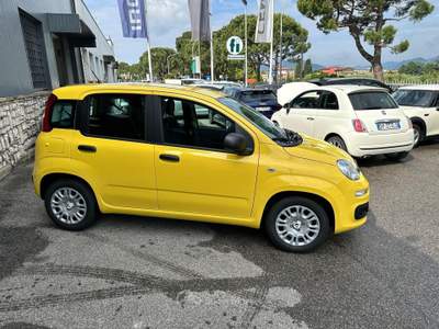 Fiat Panda Panda 1.0 FireFly S&S Hybrid usata ISEO