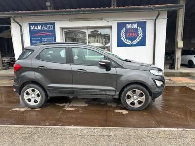 Ford EcoSport 1.0 EcoBoost 100 CV Business  CLIMA!!!! Blu/Azzurro usata SAVIGNANO SUL RUBICONE