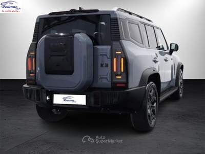 ICH-X K3 2.0 DCT 4WD Grigio usata Sant'Anastasia