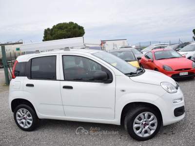 Fiat Panda FIAT Panda VAN - IVA DETRAIBILE - 0.9 Natural Power - CLIMA - PORTAPACCHI - SENSORI - BLUETOOTH - AZIENDALE - KM REALI Bianco usata Montalto di Castro