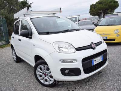 Fiat Panda FIAT Panda VAN - IVA DETRAIBILE - 0.9 Natural Power - CLIMA - PORTAPACCHI - SENSORI - BLUETOOTH - AZIENDALE - KM REALI Bianco usata Montalto di Castro