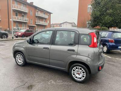 Fiat Panda 1.2 Easy s&s 69cv my19 Grigio usata Treviglio