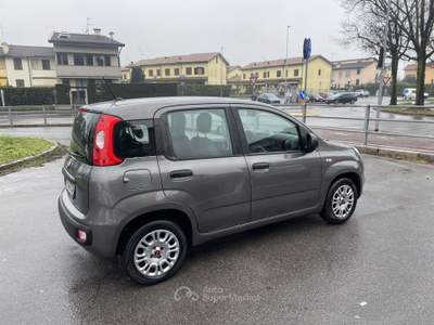 Fiat Panda 1.2 Easy s&s 69cv my19 Grigio usata Treviglio