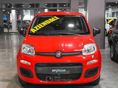 Fiat Panda 1.0 FireFly S&S Hybrid Easy Rosso usata Pianezza