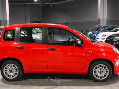 Fiat Panda 1.0 FireFly S&S Hybrid Easy Rosso usata Pianezza