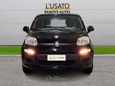 Fiat Panda 1.0 FireFly S&S Hybrid Nero usata Ancona