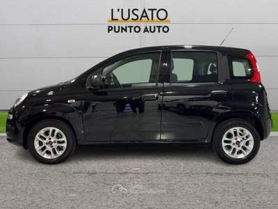 Fiat Panda 1.0 FireFly S&S Hybrid Nero usata Ancona