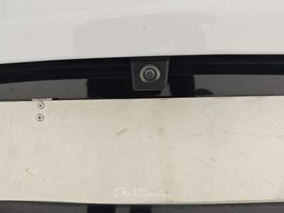 Alfa Romeo Tonale 1.6 diesel 130 CV TCT6 Sprint Bianco usata Capua