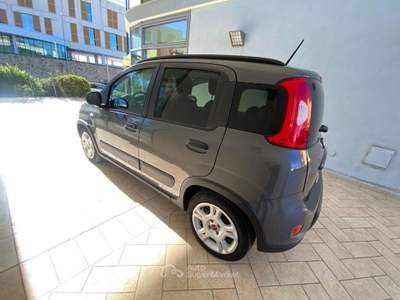 Fiat Panda 1.0 FireFly S&S Hybrid Grigio usata Olbia