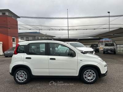 Fiat Panda 1.0 firefly hybrid s&amp;s 70cv 5p.ti Bianco usata NOALE