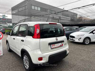 Fiat Panda 1.0 firefly hybrid s&amp;s 70cv 5p.ti Bianco usata NOALE