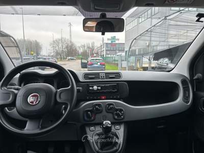 Fiat Panda 1.0 firefly hybrid s&amp;s 70cv 5p.ti Bianco usata NOALE