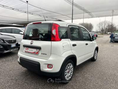 Fiat Panda 1.0 firefly hybrid s&amp;s 70cv 5p.ti Bianco usata NOALE