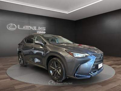 Lexus NX NX 450h+ 2.5 phev Premium+ 4wd 309cv e-cvt Grigio usata Cuneo
