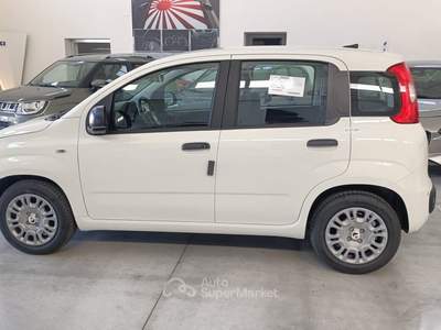 Fiat Panda FireFly S&S Hybrid Pandina Giallo usata Putignano