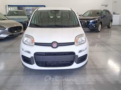 Fiat Panda FireFly S&S Hybrid Pandina Giallo usata Putignano