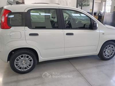 Fiat Panda FireFly S&S Hybrid Pandina Giallo usata Putignano