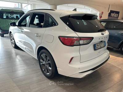 Ford Kuga 2.5 Full Hybrid 190 CV CVT 2WD ST-Line Bianco usata Massarosa