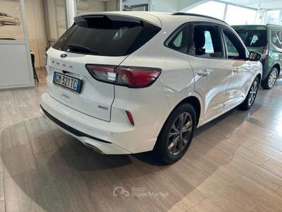 Ford Kuga 2.5 Full Hybrid 190 CV CVT 2WD ST-Line Bianco usata Massarosa