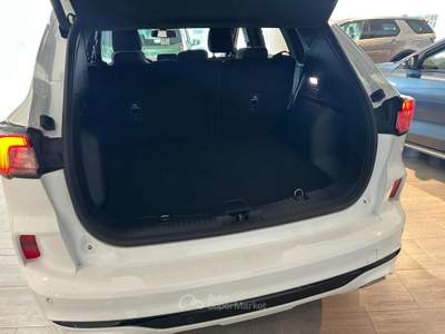 Ford Kuga 2.5 Full Hybrid 190 CV CVT 2WD ST-Line Bianco usata Massarosa