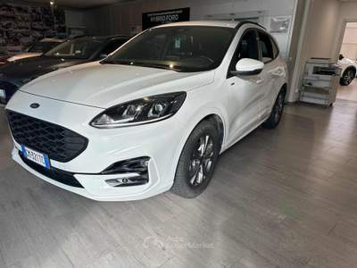 Ford Kuga 2.5 Full Hybrid 190 CV CVT 2WD ST-Line Bianco usata Massarosa