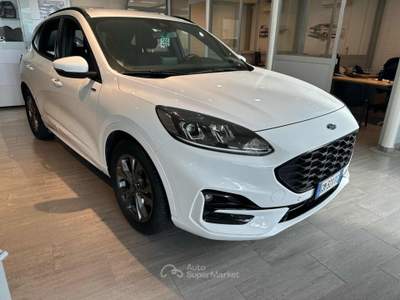 Ford Kuga 2.5 Full Hybrid 190 CV CVT 2WD ST-Line Bianco usata Massarosa