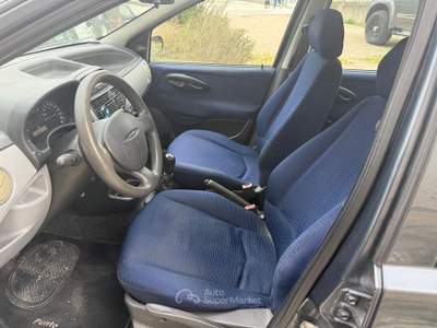 Fiat Punto Neopatentati usata FERMO