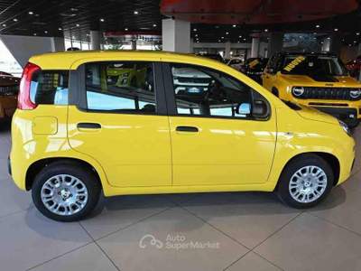 Fiat Panda 1.0 FireFly S&S Hybrid Pop Giallo usata Pianezza