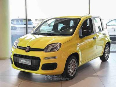 Fiat Panda 1.0 FireFly S&S Hybrid Pop Giallo usata Pianezza